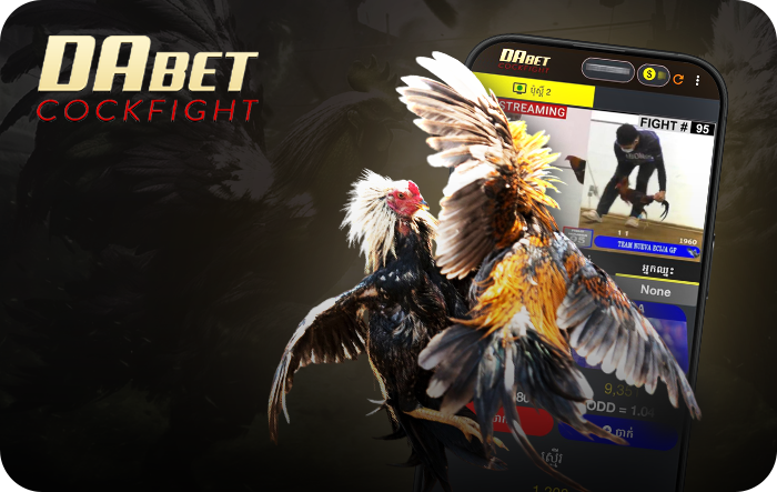 dabet cock fighitng